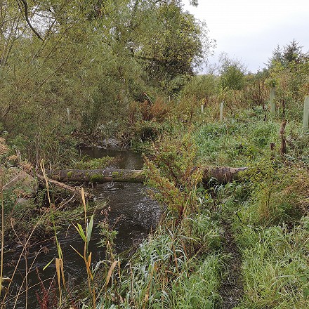 Watercourse habitat improvement at Skitwath Beck